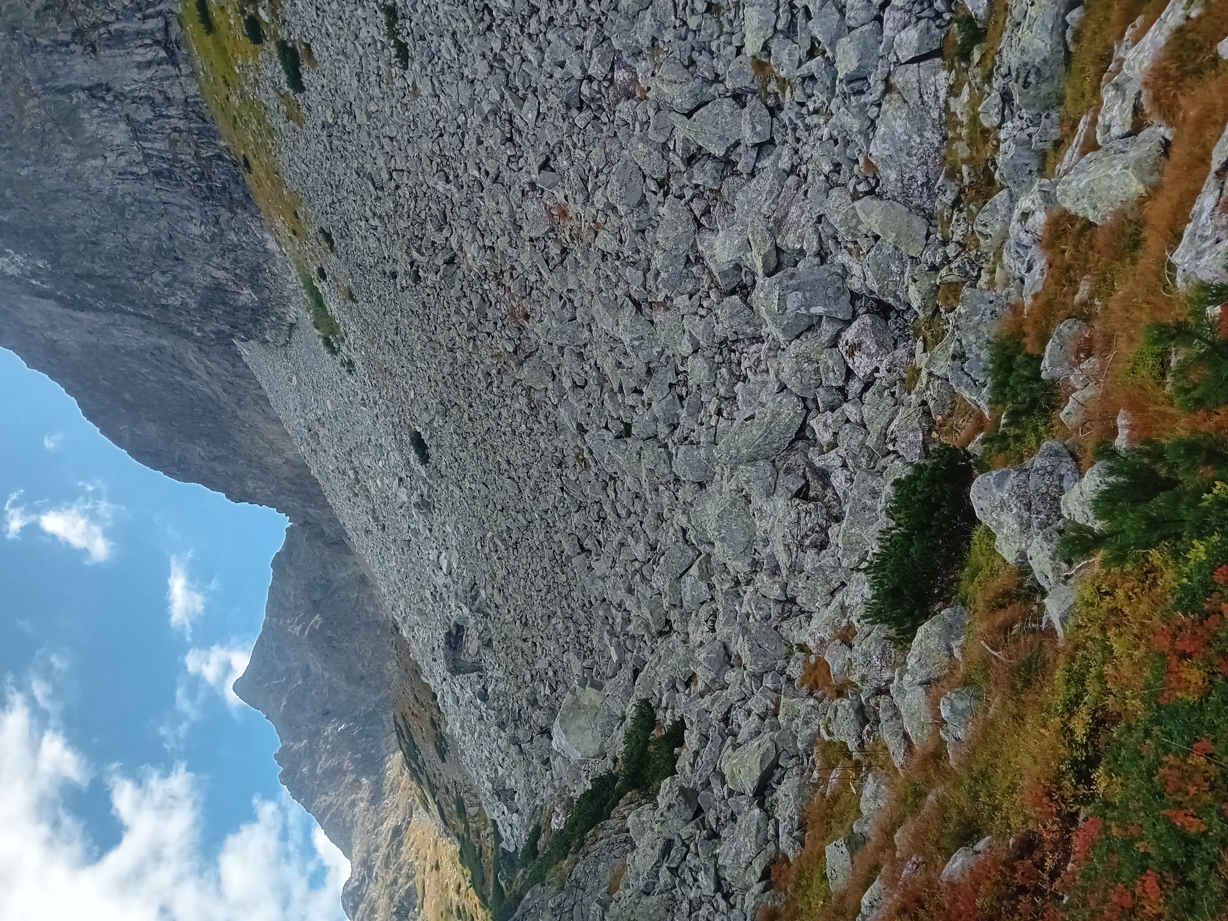 20260913_121303.jpg