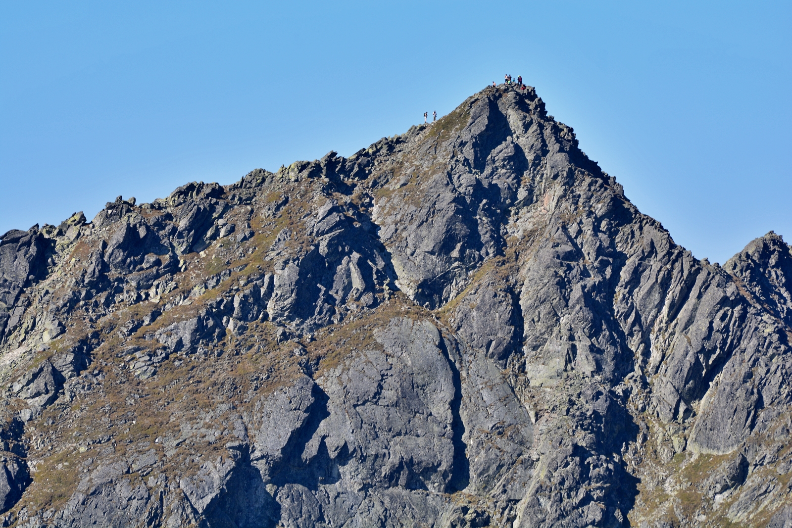 DSC_0220.JPG