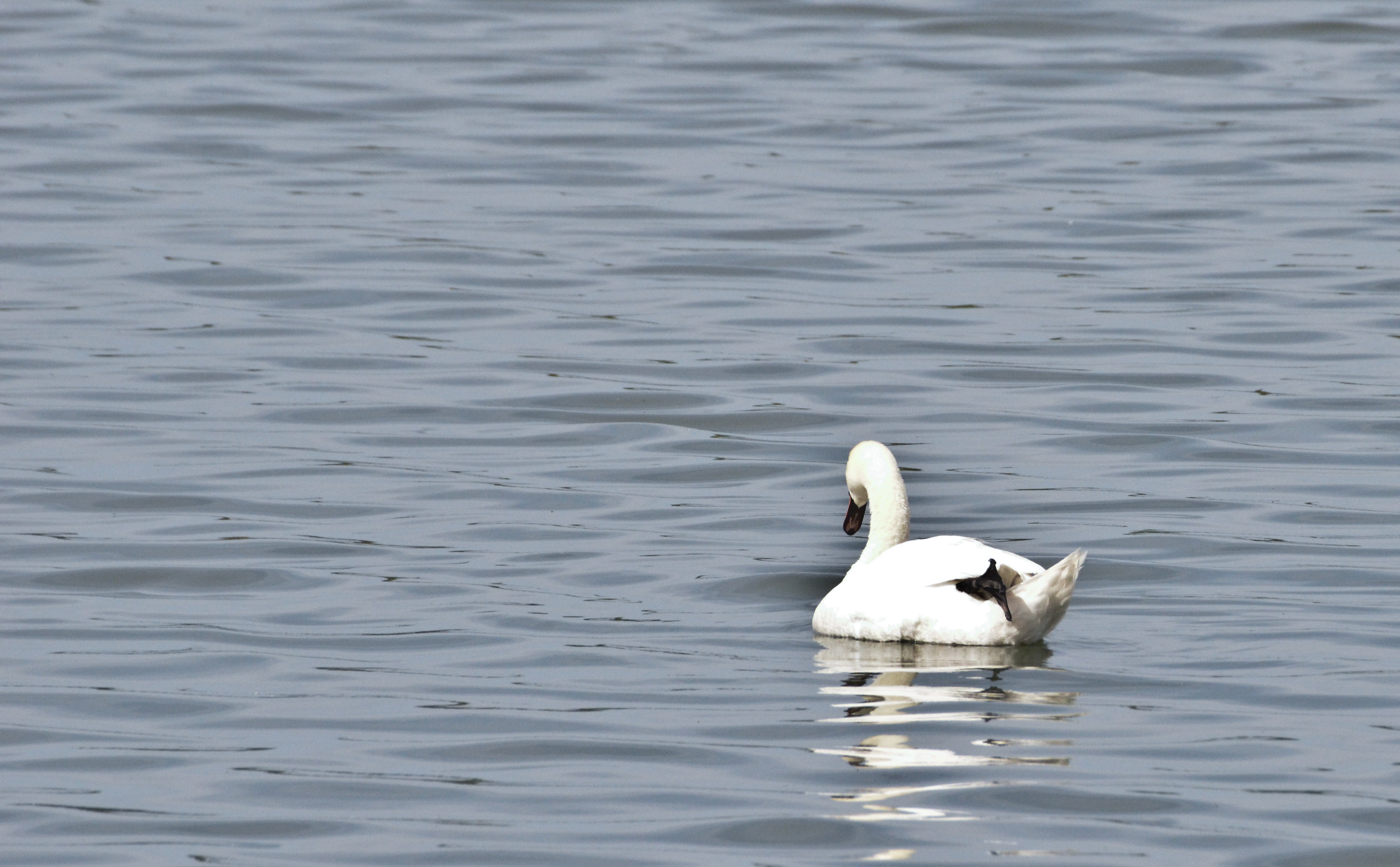 DSC_0016.JPG