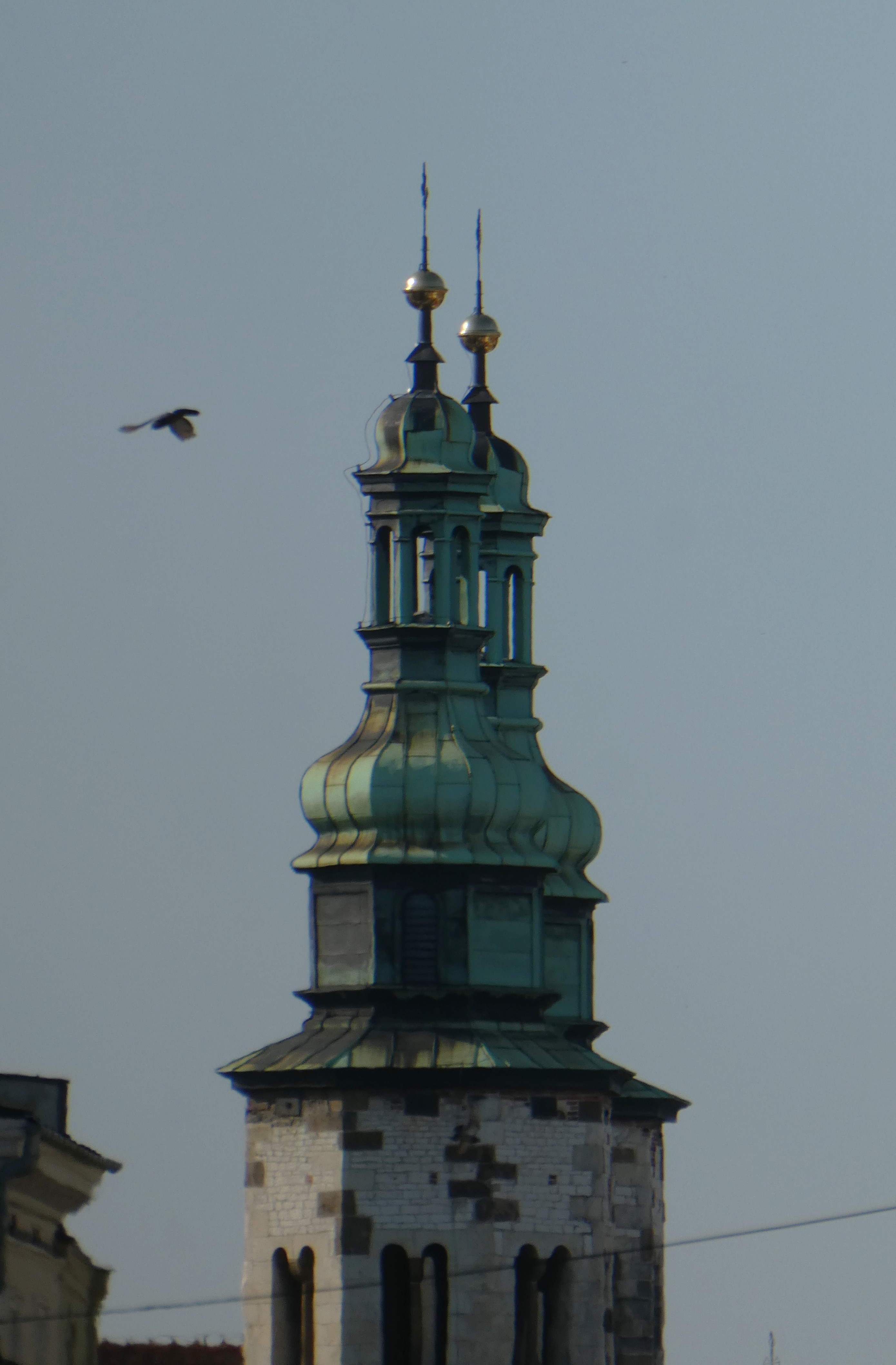 P1650937.JPG