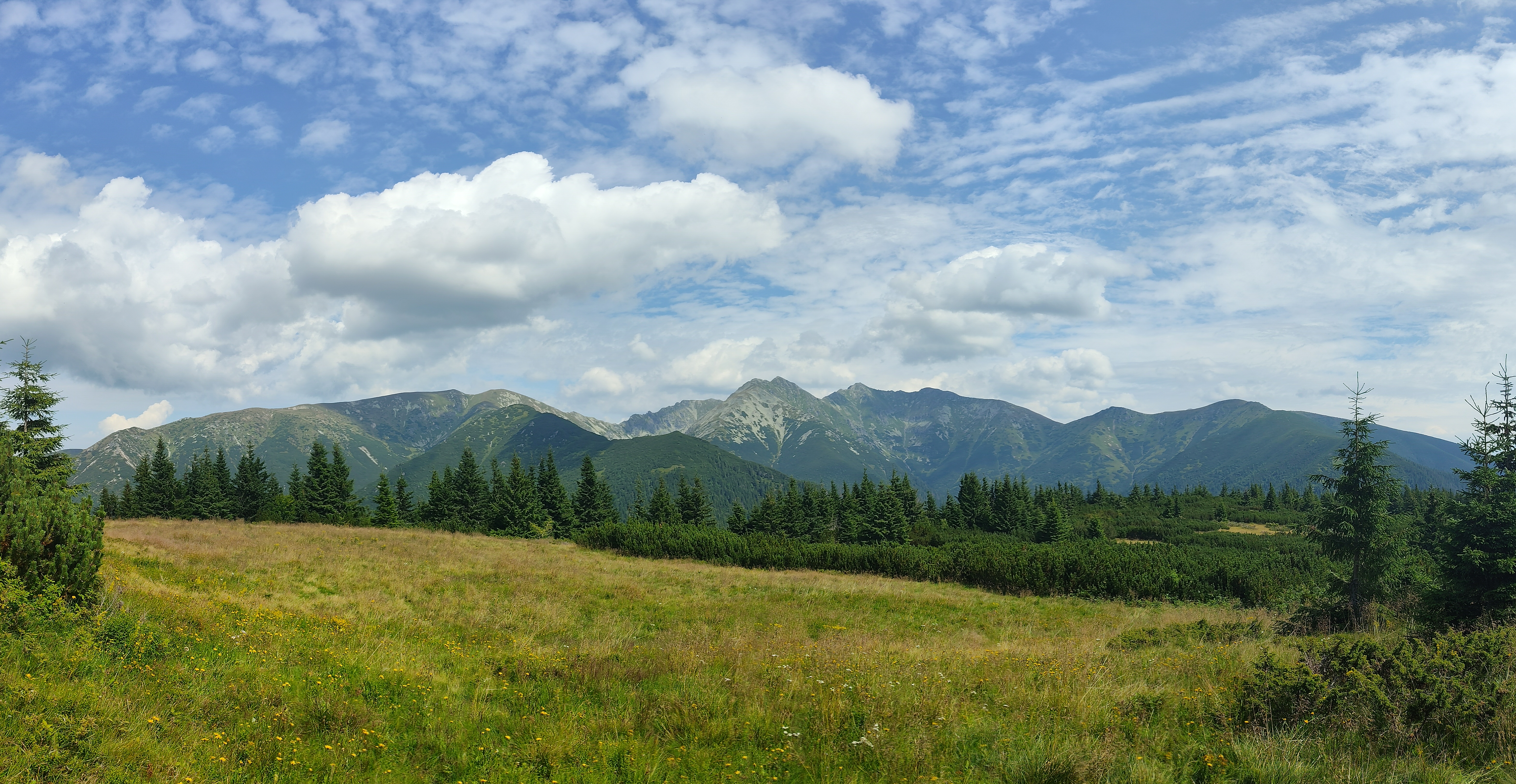 PANO_20250809_134130.jpg