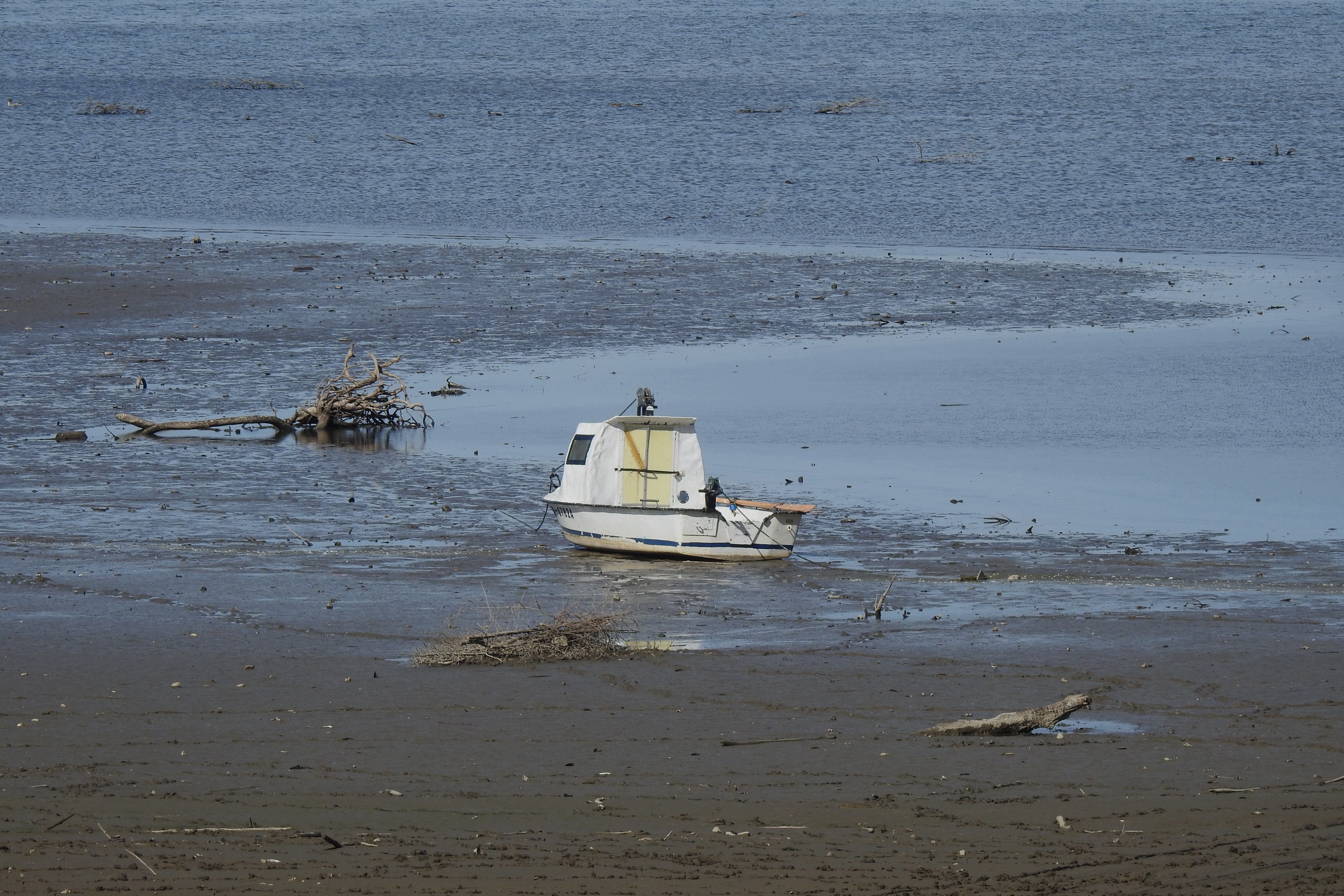 DSCN1207.JPG