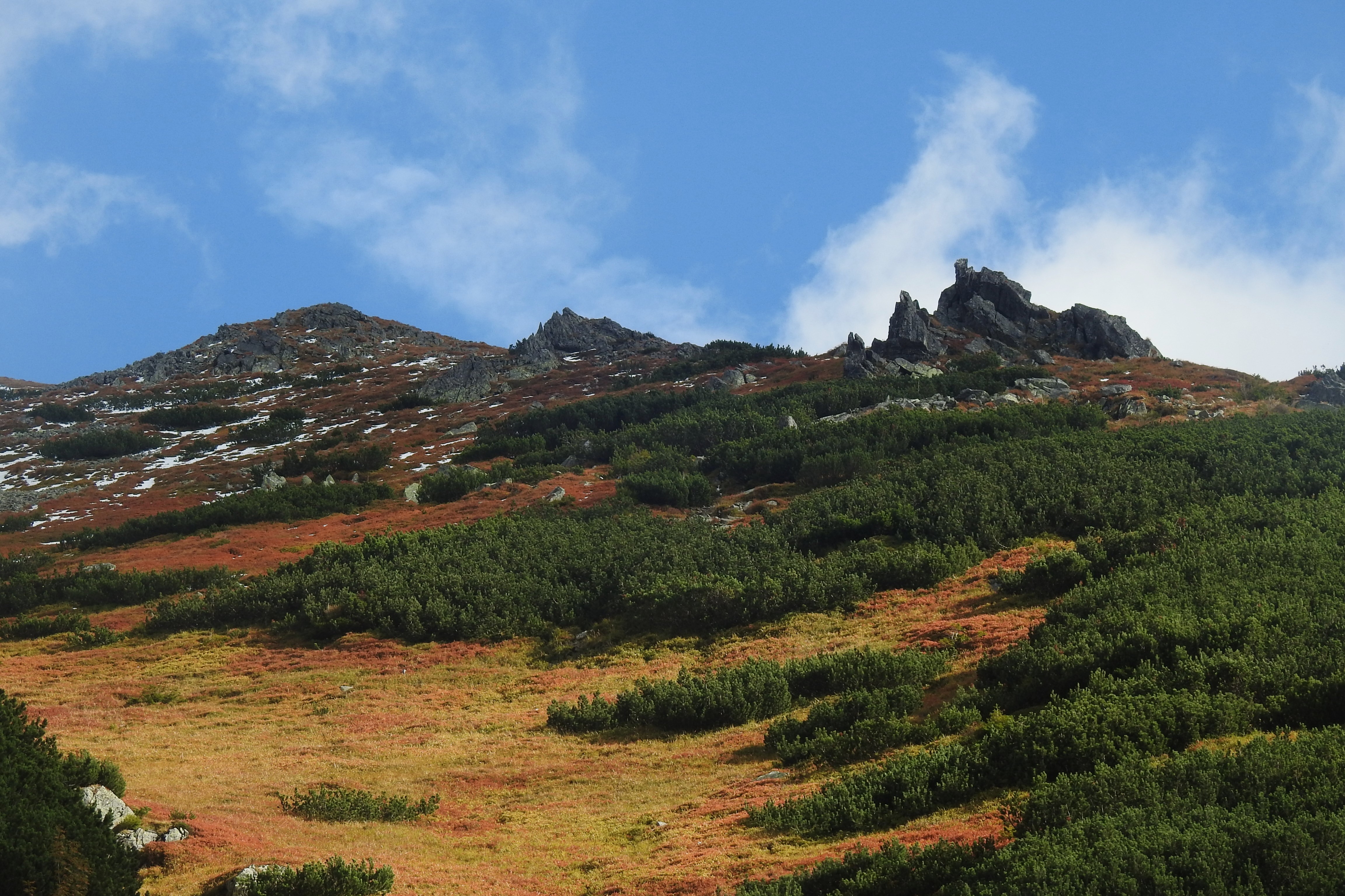 DSCN1589.JPG