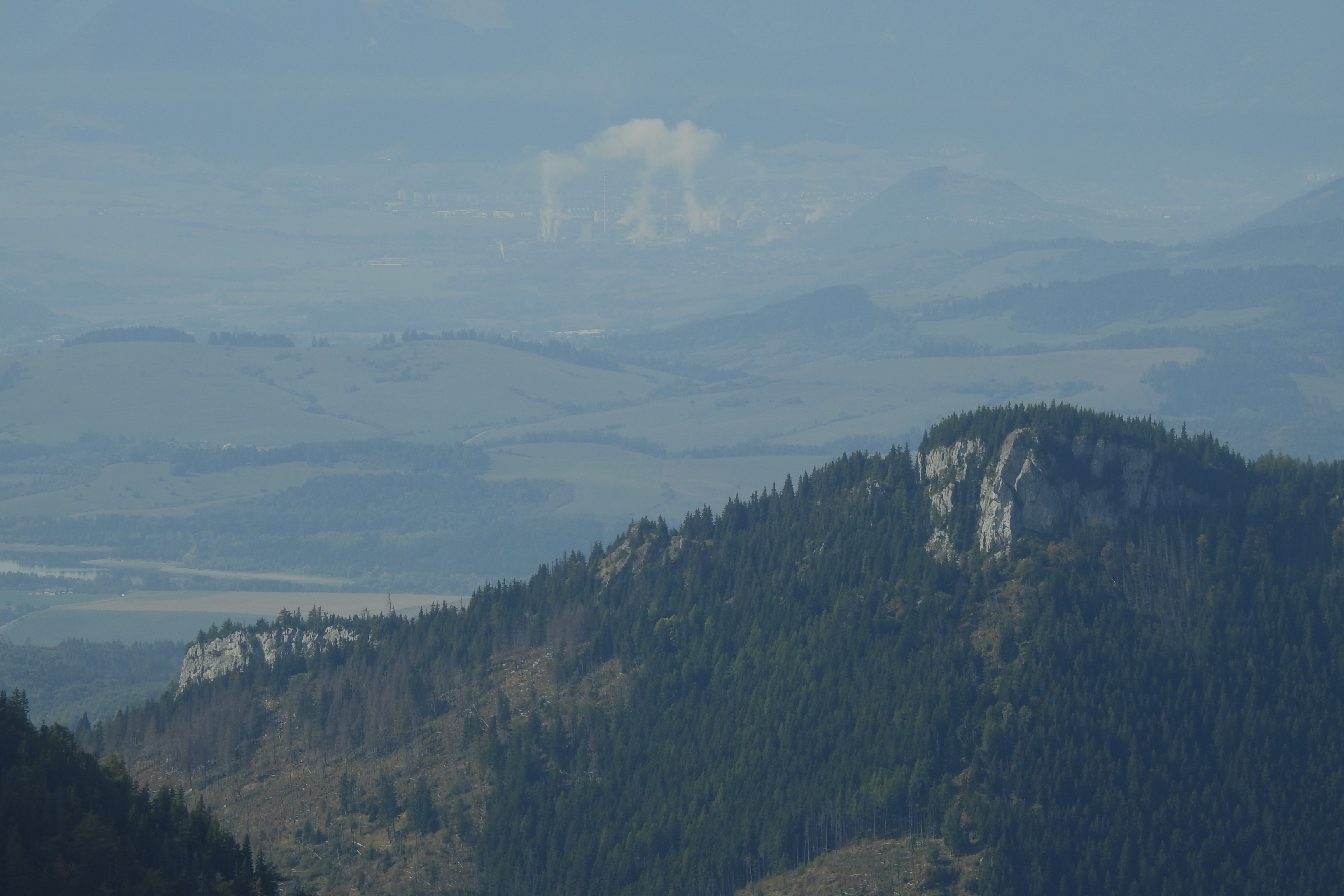 DSCN1478.JPG