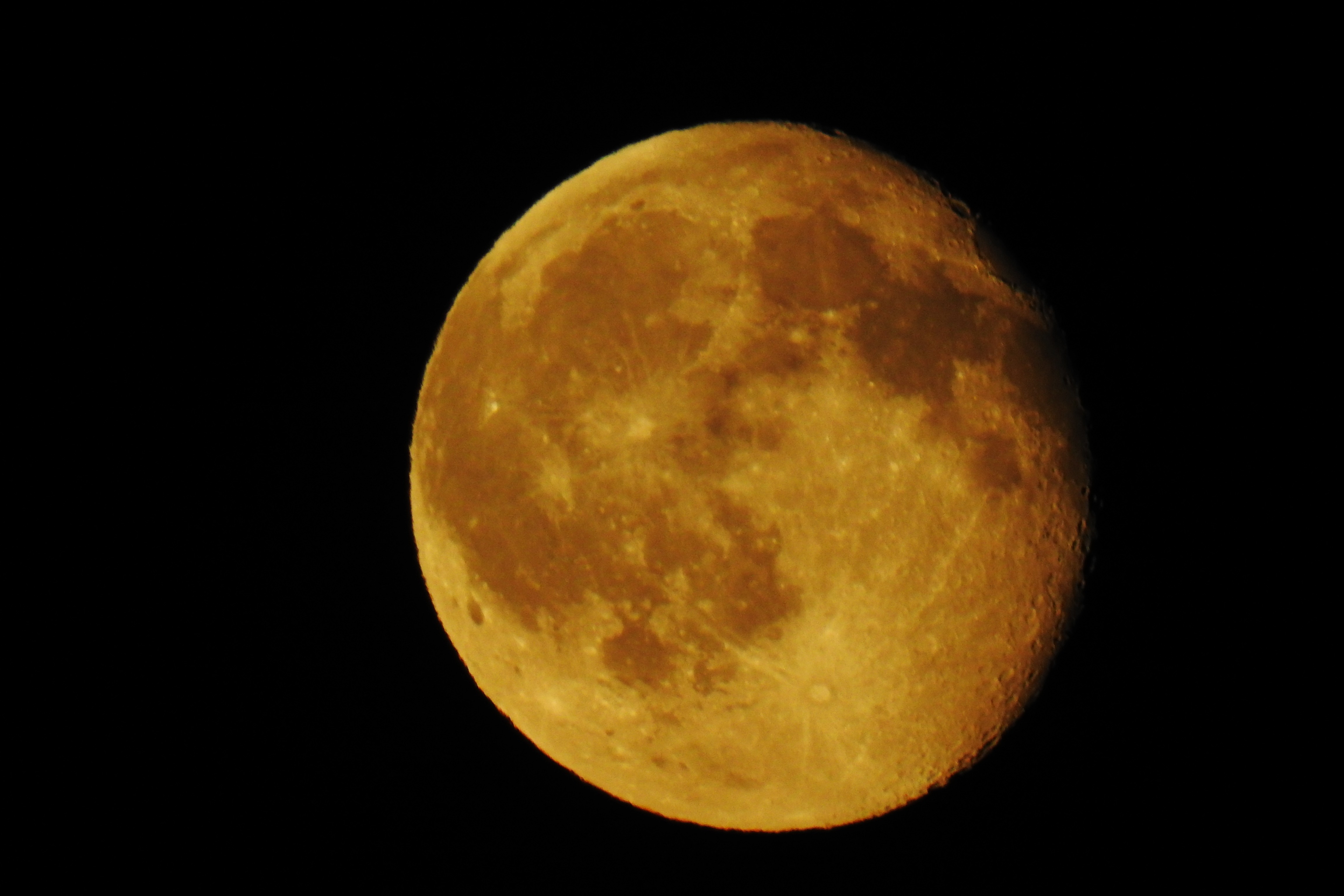 DSCN1662.JPG