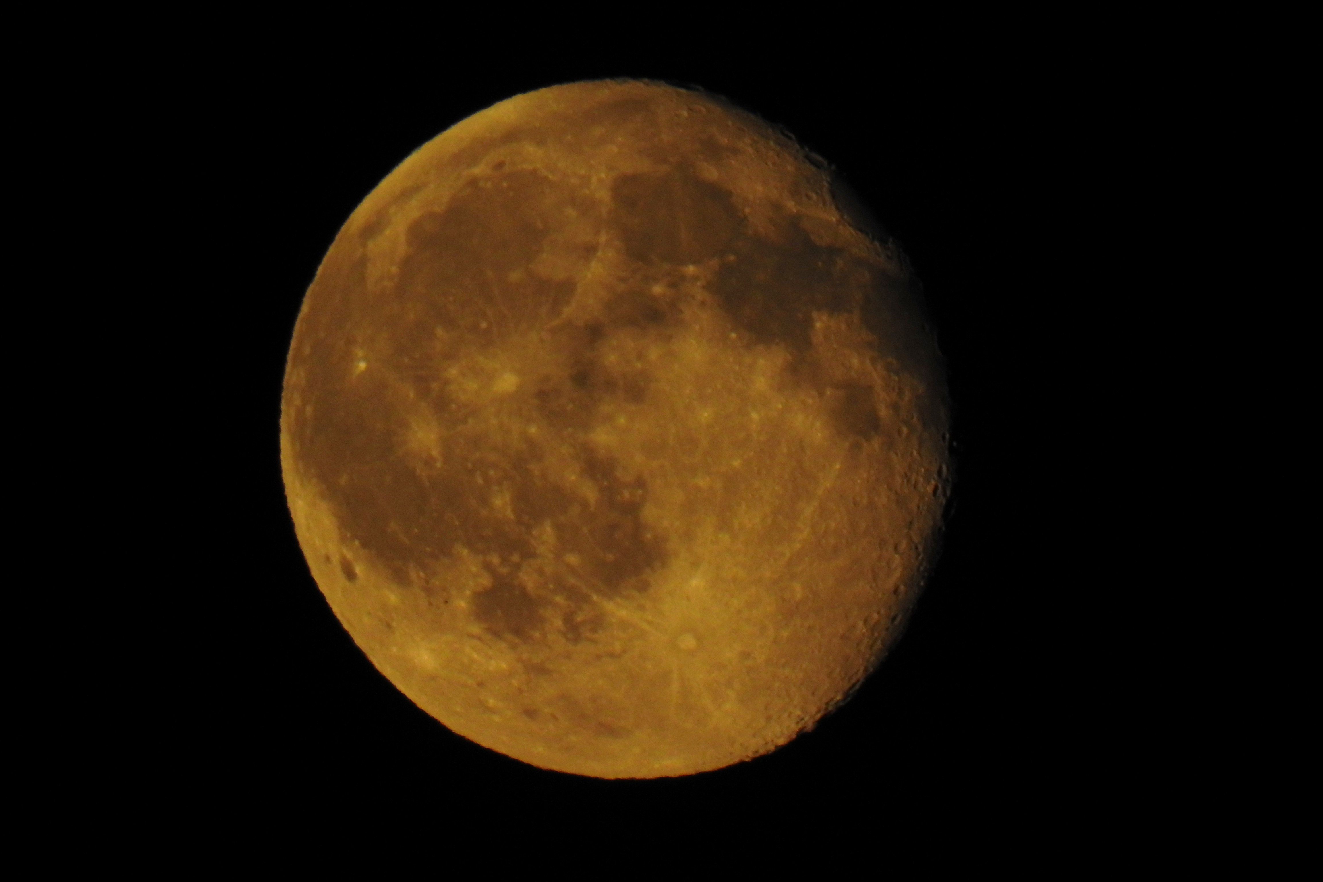 DSCN1669.JPG