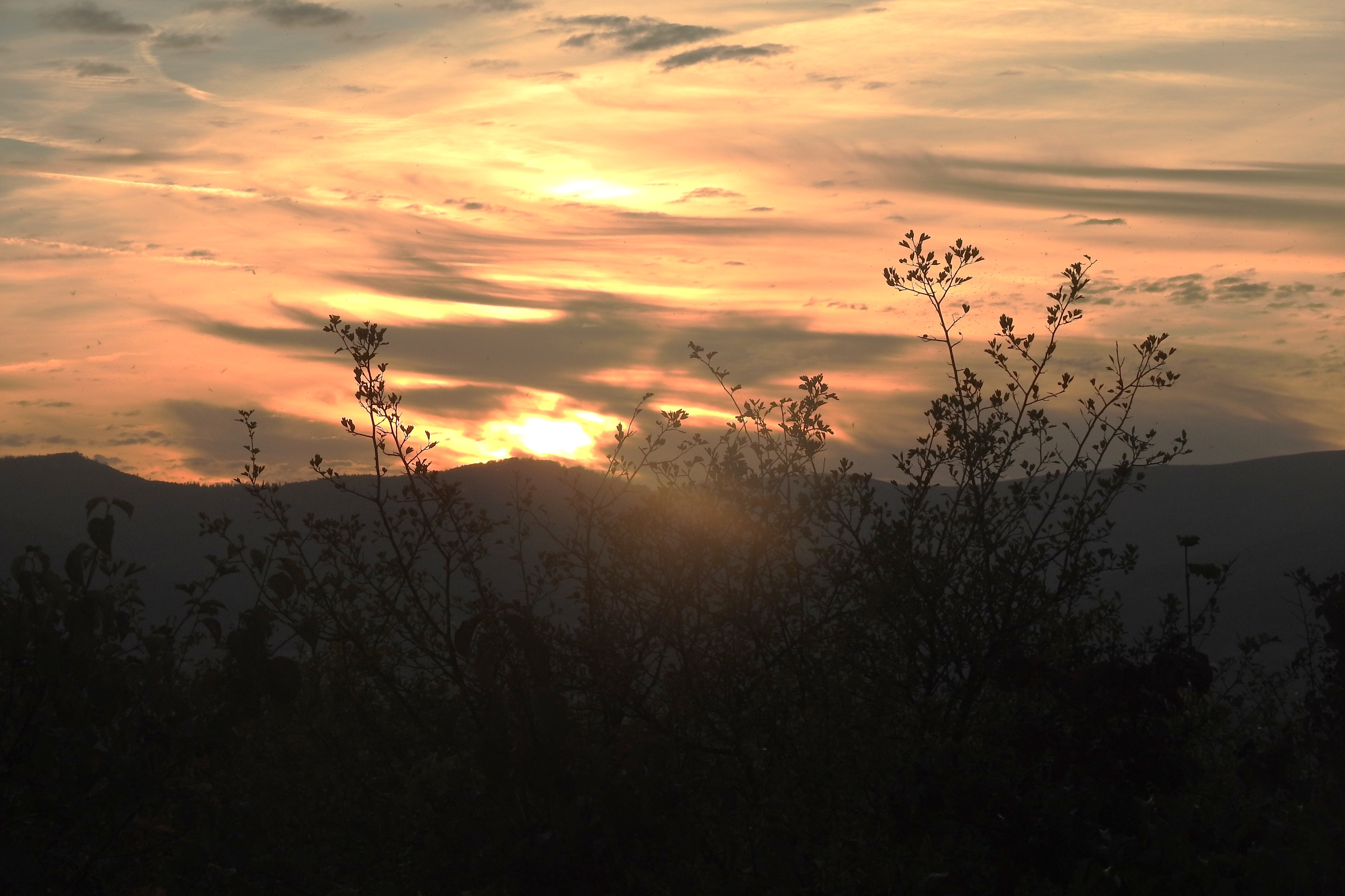 DSCN1843.JPG