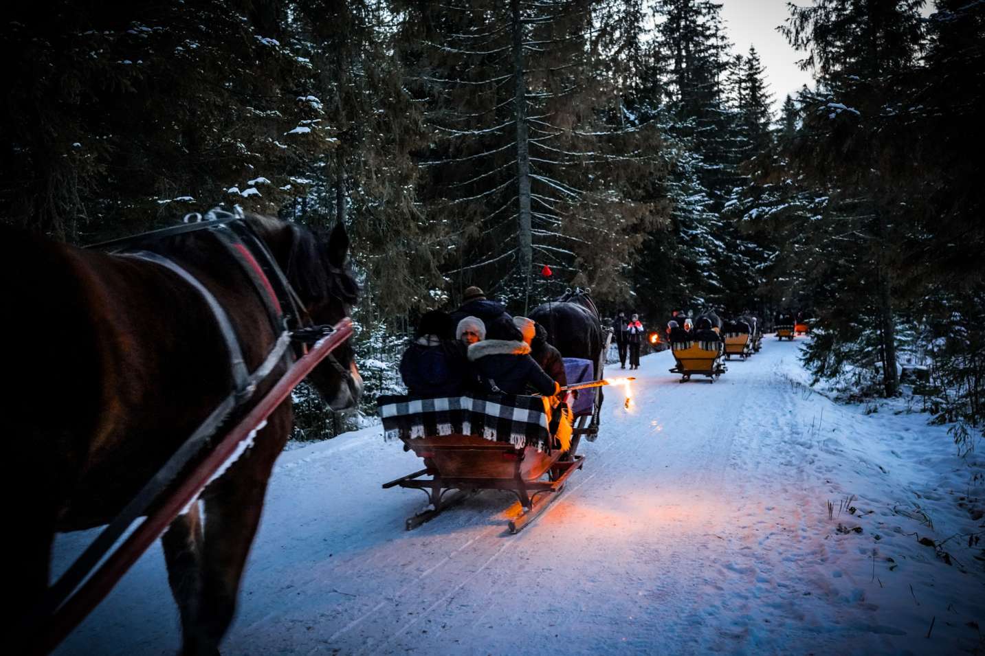 DSC05063 (2) (1).jpg