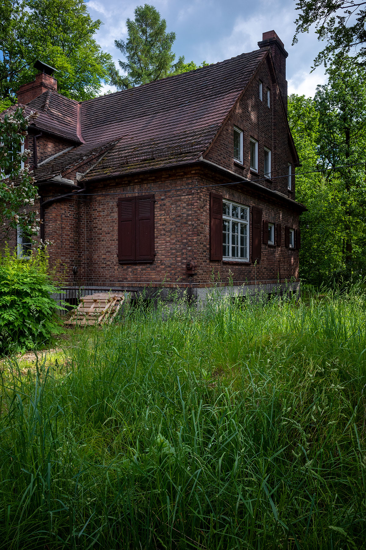 R0000813.jpg