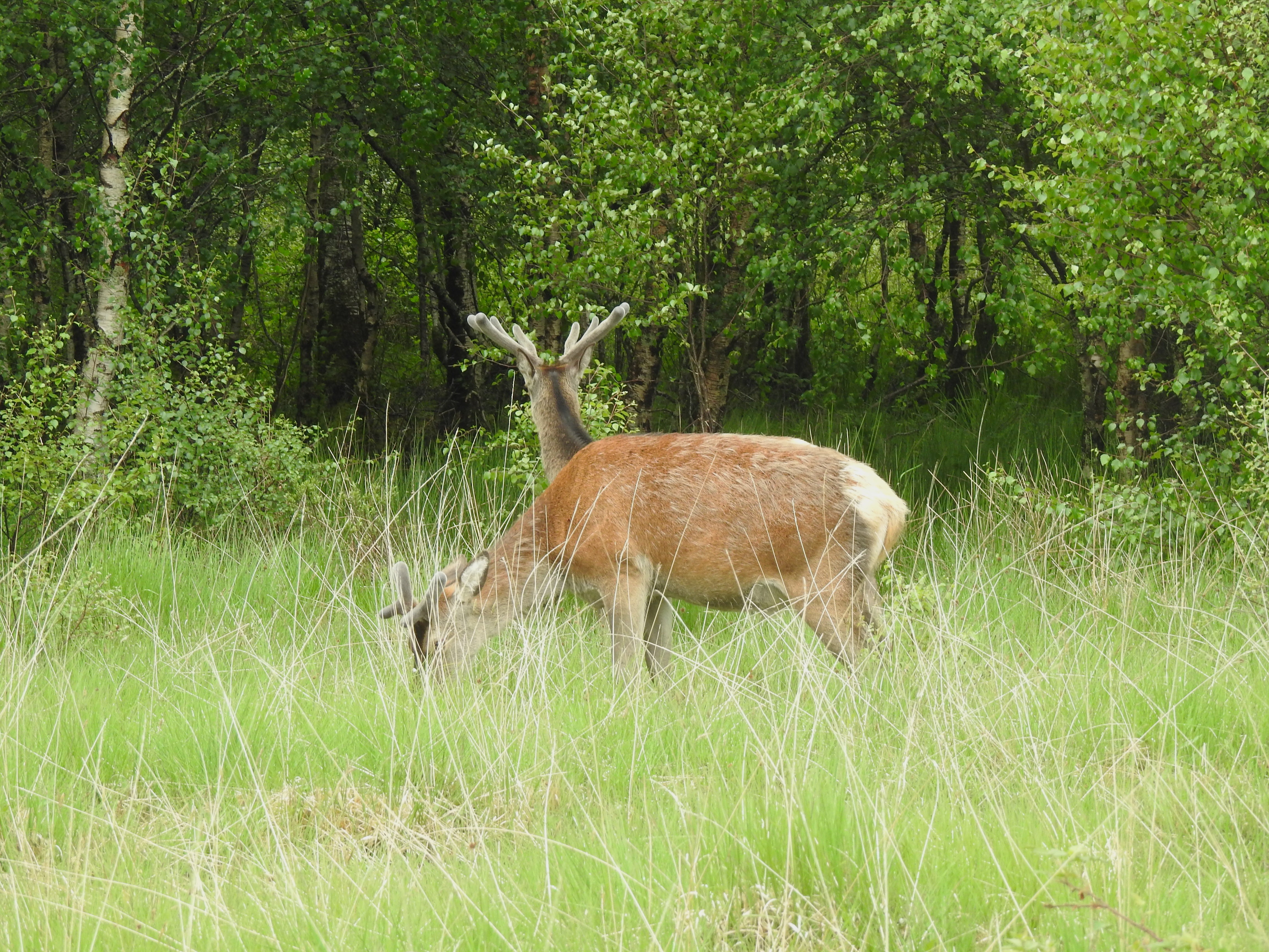 DSCN8281.JPG