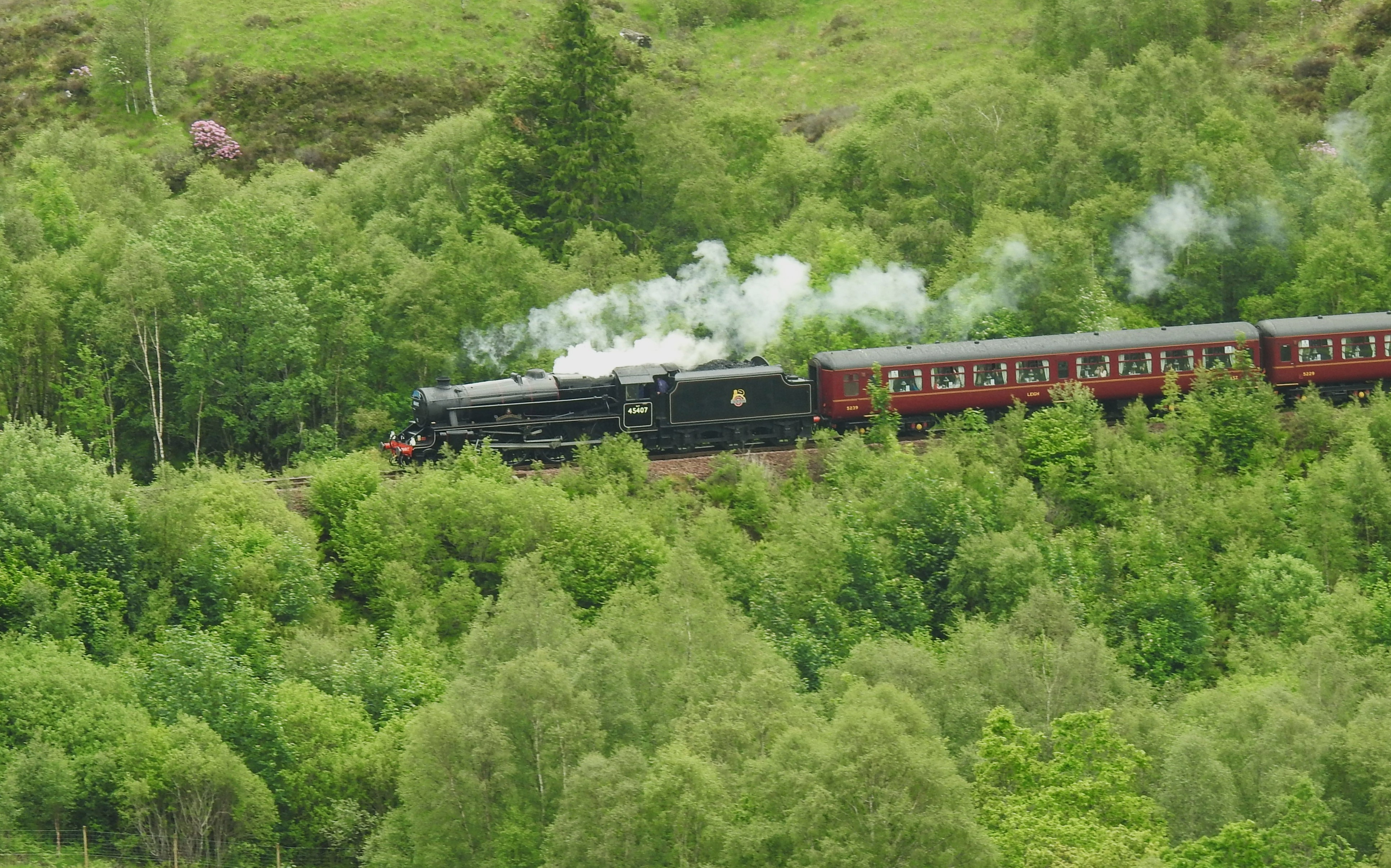 545.JPG