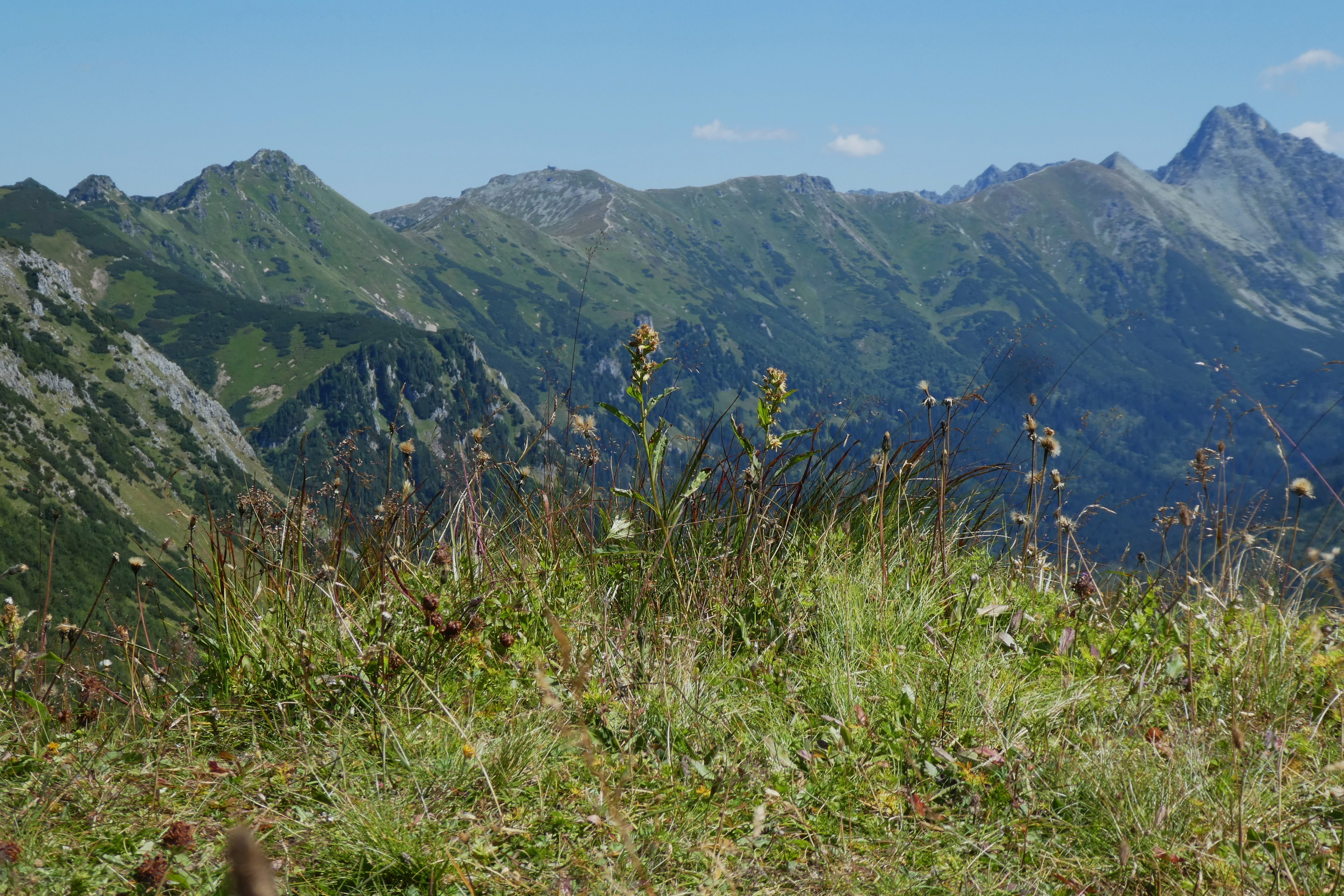 P1790585.JPG