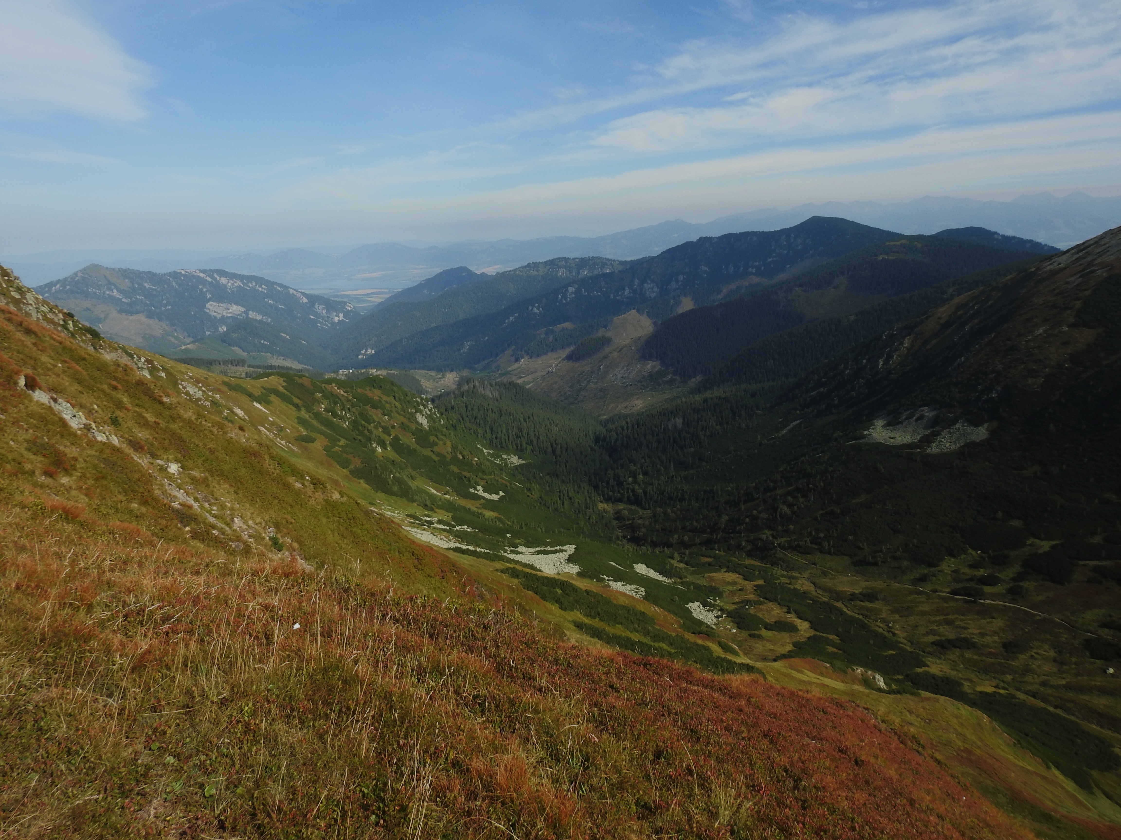 DSCN0260.JPG