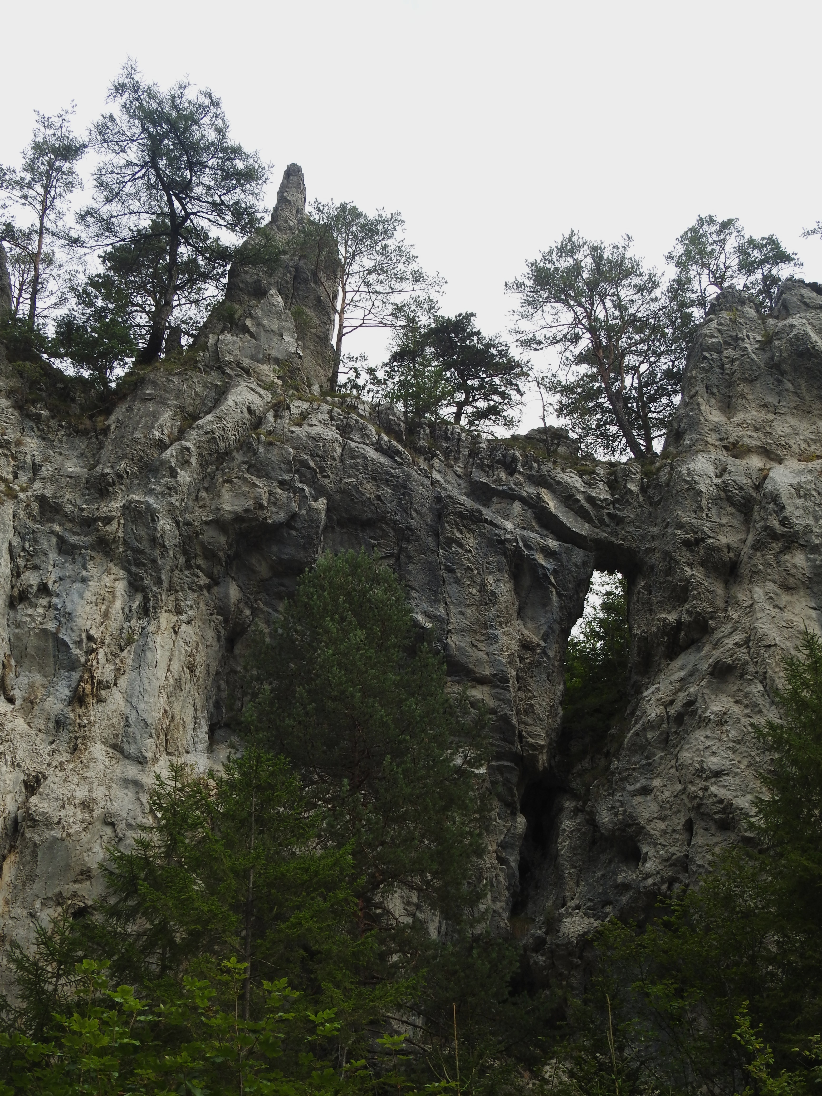 DSCN0497.JPG