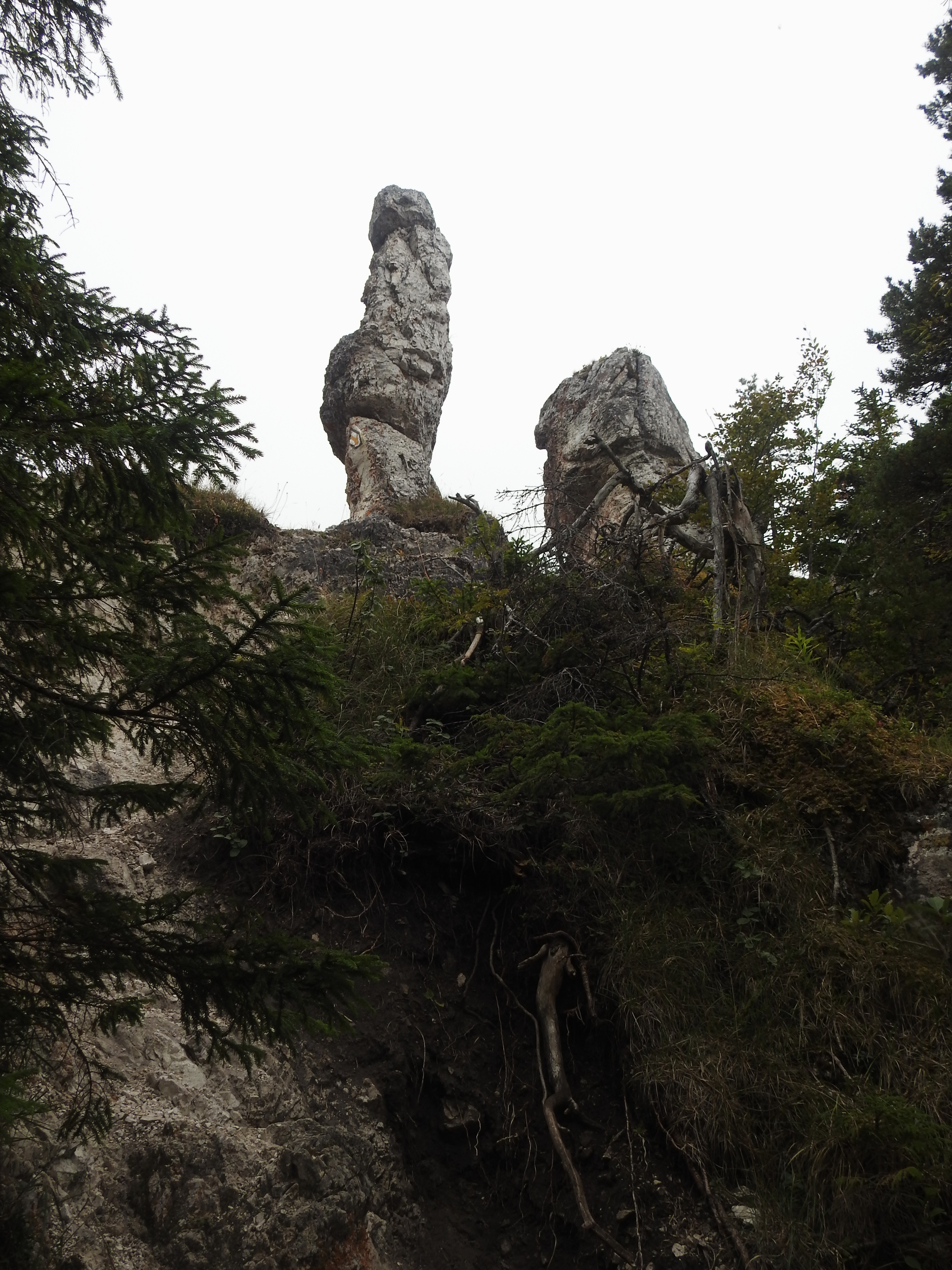 DSCN0576.JPG