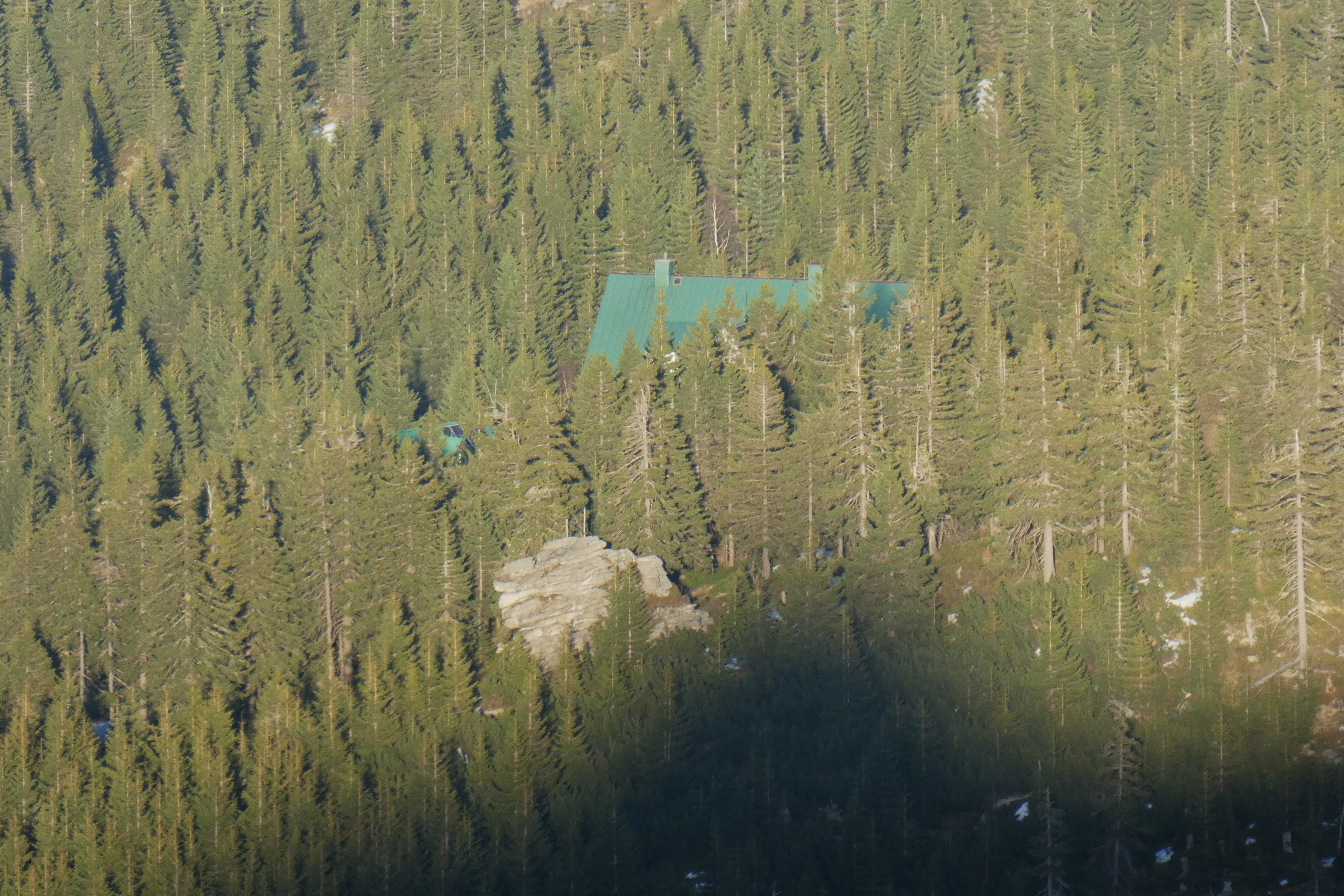 P1750387.JPG