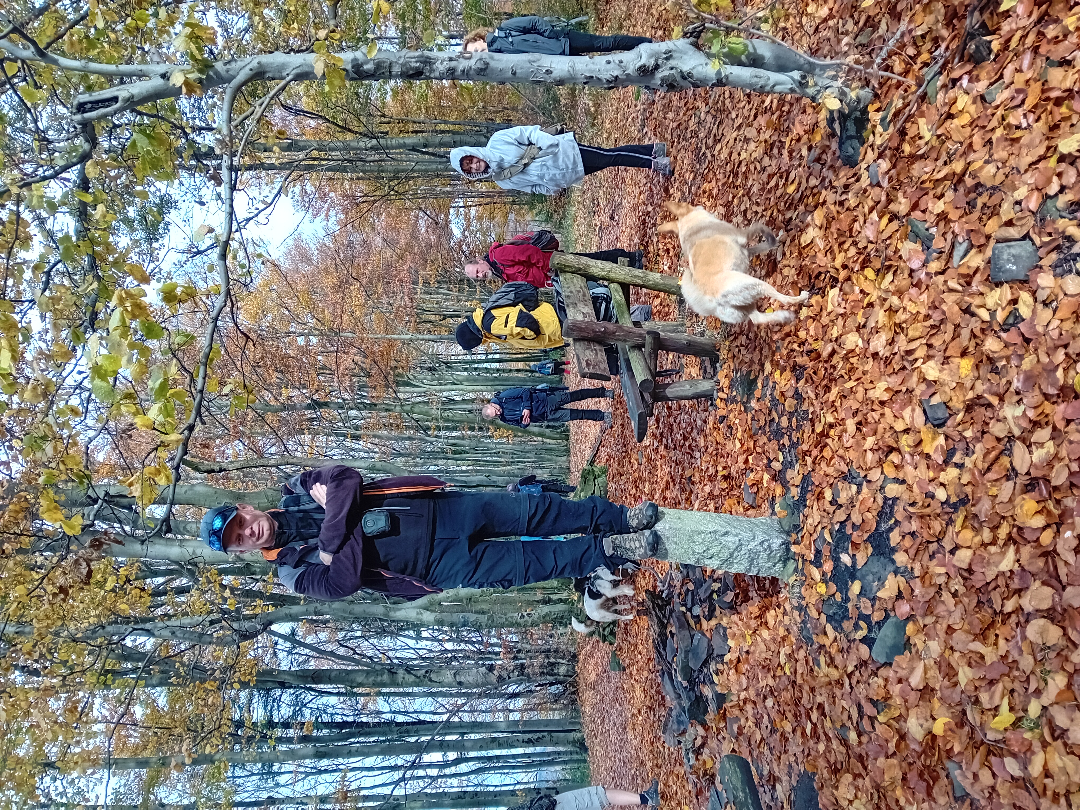 20231028_131015.jpg