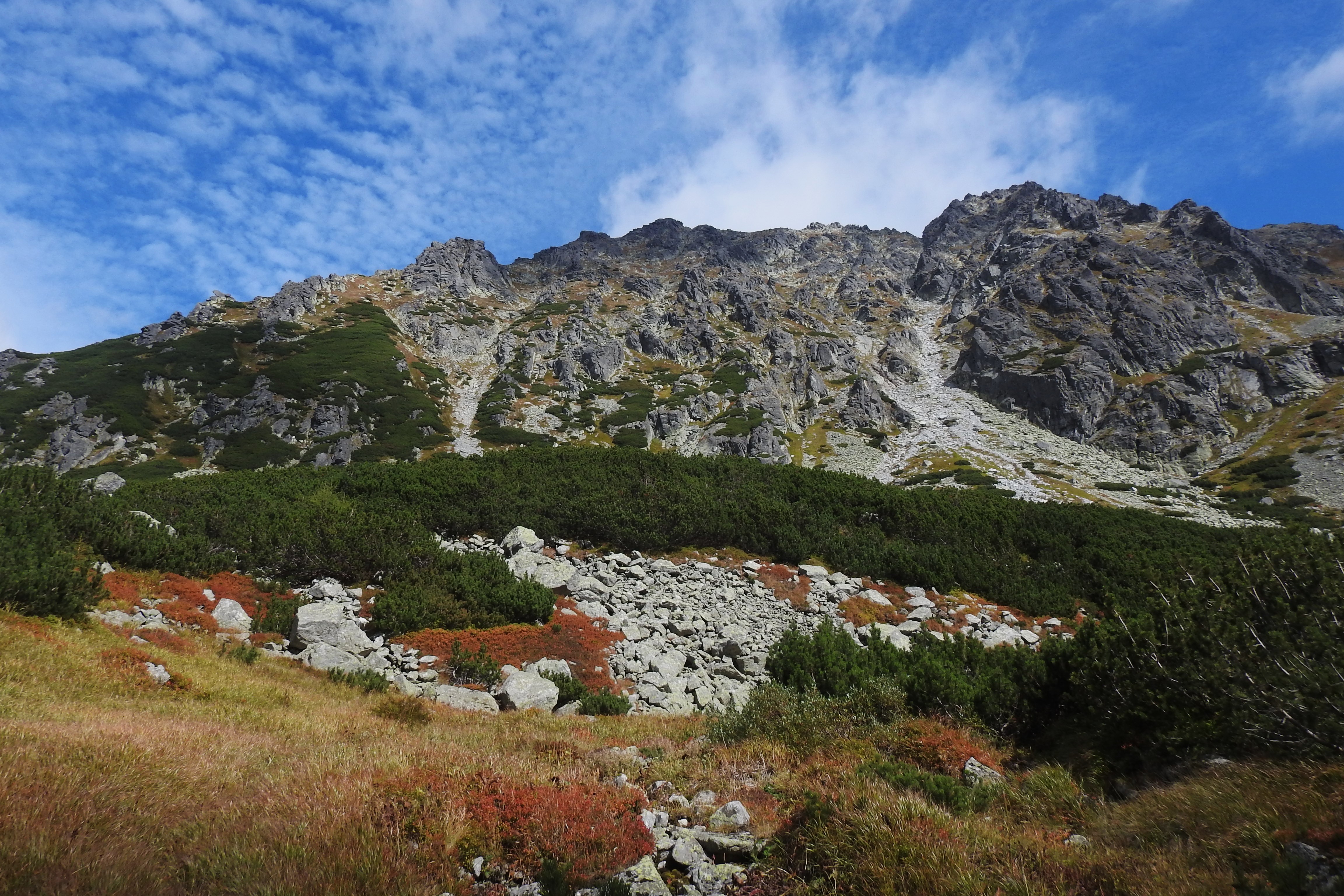 DSCN0970.JPG