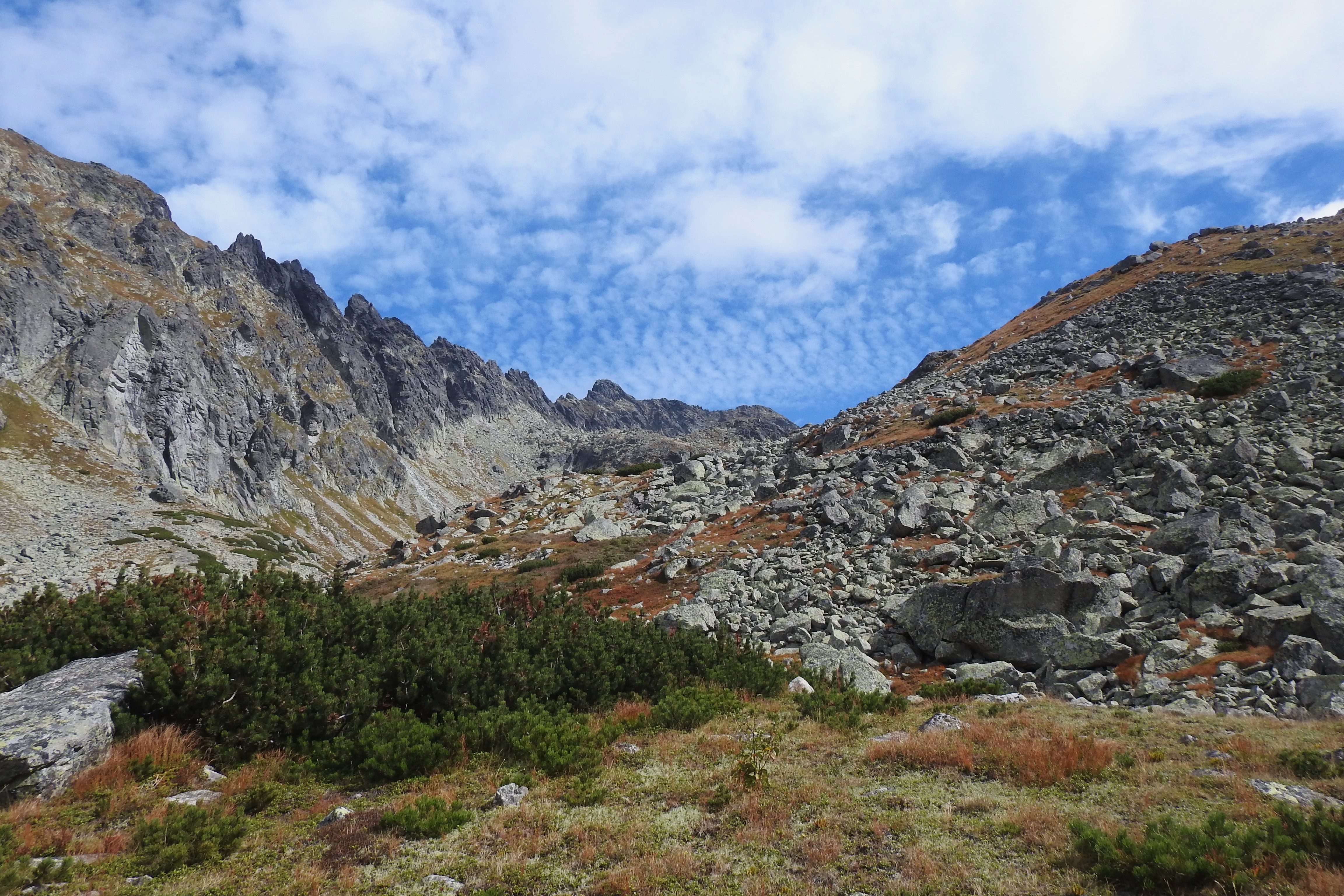 DSCN0990.JPG